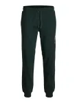 JACK & JONES Kelnės 'JPSTGORDON' kremo / geltona / tamsiai žalia