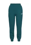 PUMA Sportinės kelnės 'ESS No. 1' benzino spalva