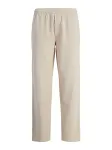 JACK & JONES Kelnės 'JPSTKarl Ivy' akmens
