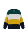 TOMMY HILFIGER Megztinis tamsiai mėlyna jūros spalva / garstyčių spalva / smaragdinė spalva / balta