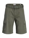 JACK & JONES Laisvo stiliaus kelnės 'JPSTCole Hudson' alyvuogių spalva