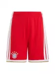ADIDAS PERFORMANCE Sportinės kelnės 'FC Bayern M&uuml;nchen Home 26/27' kupranugario / raudona / balta