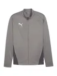 PUMA Džemperis treniruotėms 'Team Goal' tamsiai pilka / balta