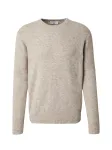 DAN FOX APPAREL Megztinis 'William' marga smėlio spalva
