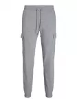 JACK & JONES Laisvo stiliaus kelnės 'JPSTGordon JJShark' &scaron;viesiai pilka