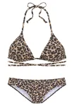 Bruno Banani Bikinis nebalintos drobės spalva / smėlio / ruda / juoda