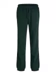Jack & Jones Junior Kelnės 'JJIGORDON' tamsiai žalia