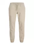 JACK & JONES Kelnės 'JPSTGORDON DYLAN' akmens