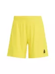 ADIDAS PERFORMANCE Sportinės kelnės 'ENT26' geltona