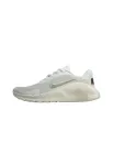 NIKE Sportiniai batai 'Flex Train' pilka / juoda / balta