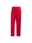 ADIDAS SPORTSWEAR Sportinės kelnės raudona / juoda