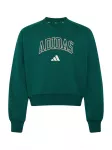 ADIDAS SPORTSWEAR Sportinio tipo megztinis 'Seasonals Collegiate Typography V-neck Junior' žalia / balta