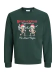 JACK & JONES Megztinis be užsegimo 'JJMERRY SKULL XMAS' smėlio / tamsiai žalia / raudona / balta