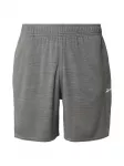 Reebok Sportinės kelnės pilka