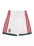 ADIDAS PERFORMANCE Sportinės kelnės 'Real Madrid 26/27' geltona / tamsiai žalia / raudona / balta