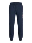JACK & JONES Kelnės 'JPSTGORDON' tamsiai mėlyna / raudona / balta