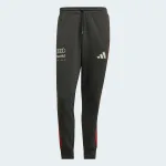 ADIDAS PERFORMANCE Sportinės kelnės 'Audi Formula One Team DNA' tamsiai pilka / raudona / balta