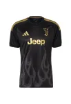 ADIDAS PERFORMANCE Triko 'Juventus Turin 26/27' auksas / tamsiai pilka / juoda