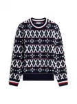 TOMMY HILFIGER Megztinis tamsiai mėlyna / granatų spalva / balta