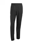 ADIDAS PERFORMANCE Sportinės kelnės 'DFB 94' geltona / raudona / juoda