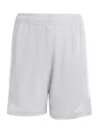 ADIDAS PERFORMANCE Sportinės kelnės 'Tiro26l Trshoy' &scaron;viesiai pilka