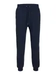JACK & JONES Kelnės 'JPSTGordon JJBradley' tamsiai mėlyna jūros spalva
