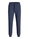 JACK & JONES Kelnės 'JPSTGORDON' margai mėlyna