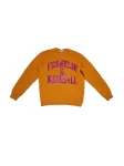 FRANKLIN & MARSHALL Megztinis be užsegimo rusvai oranžinė / pitajų spalva