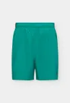 UNDER ARMOUR Sportinės kelnės 'Vanish Wven 2.0' žalia / juoda
