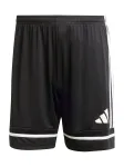 ADIDAS PERFORMANCE Sportinės kelnės 'Squadra 25' juoda / balta