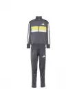 ADIDAS SPORTSWEAR Treniruočių kostiumas 'Seasonal Essentials Tiberio' žaliosios citrinos spalva / tamsiai pilka / balta