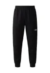 THE NORTH FACE Laisvalaikio kelnės 'MOUNTAIN ATHLETICS 2.0' juoda