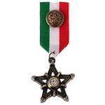 Medalis Crystal Star; 8x3cm