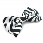 Peteli&scaron;kė ri&scaron;ama varlytė Zebra