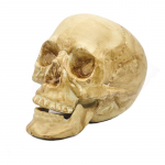 Dekoracija 3D kaukolė Air Skull Classic; 18x16x15cm