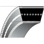 Trapecinis eigos diržas MTD SG155 SG175 15,88x1320,80mm La
