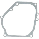 Karterio tarpinė Brigss & Stratton 590608
