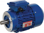 Trifazis elektros variklis su flan&scaron;u B14 0.75 kW IP56 4 poliai (1500 aps./min.) EM80B4B14301IE3AKR