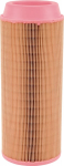 Oro filtras AF26389