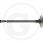 Įsiurbimo vožtuvas Briggs & Stratton 691804, 691302, 261528, 263137