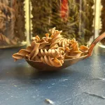 Ekologi&scaron;ki avinžirnių makaronai  FUSILLI su jūros dumbliais Nori : svoris - 100 g
