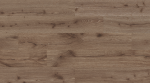 Barlinek, Next step, Coffee Oak, DP5000011, 228.6 x 1523 x 5mm, 34k, rakinamos vinilinės lentelės