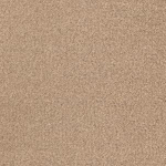 Radici, Oceania, Antilope 2410, 4m, 31kl, ruloninė kiliminė danga