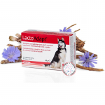 Dogoteka Lacto Adapt maisto papildas &scaron;unims ir katėms; 60tab