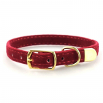 Zoo Mini  antkaklis katėms ir &scaron;unims, raudonas; 22-27cm