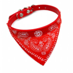 Zoo Skarelė S raudona antkaklis katėms ir &scaron;unims; 23-28cm