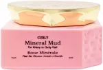 Kaukė-mineralinis purvas plaukams Saphira The Modani Curly Mineral Mud SAFCMM2, garbanotiems plaukams, su Negyvosios jūros mineralais, 250 ml