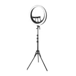 Žiedinis LED &scaron;viestuvas &bdquo;NEEWER RP19H&ldquo;, 19&Prime;, su 3 telefonų laikikliais