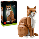21376 Orange Cat