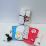 Universalus namų valymo rinkinys-MAX